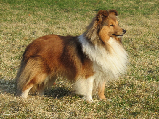 Benefit z Ďáblovy studánky